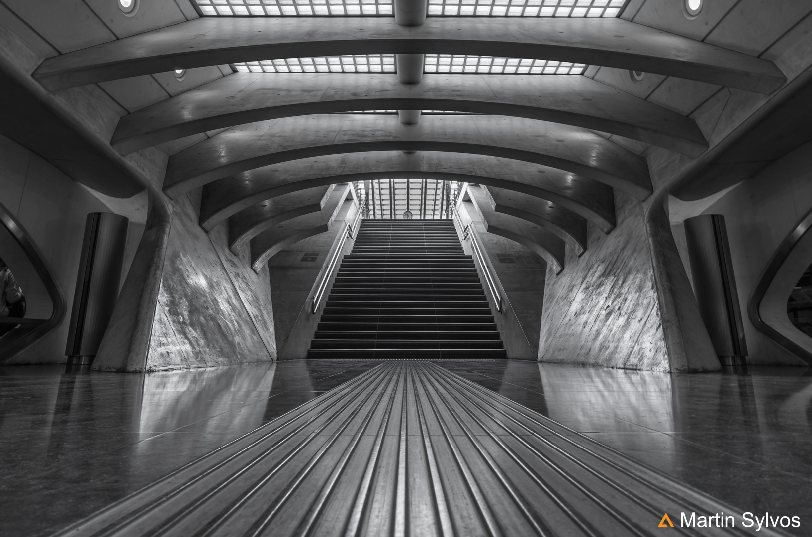 Belgique, Gare de Liège Guillemins par Santiago Calatrava 2